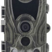 P44